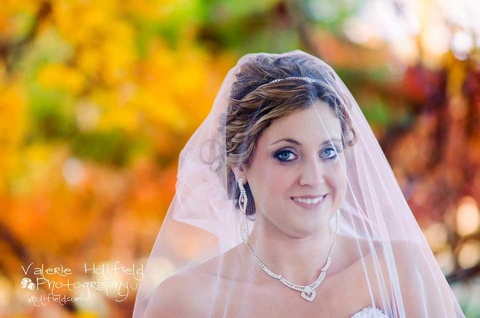 St. Louis Wedding Photographer | Jason & Jessica 