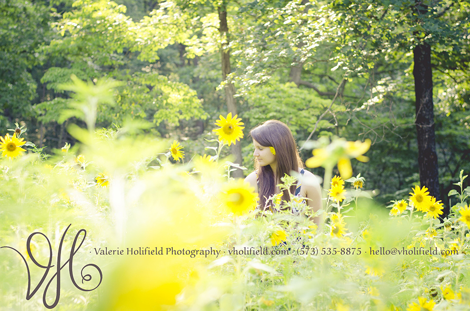Ste. Genevieve Photographer | Delani & sunflowers 